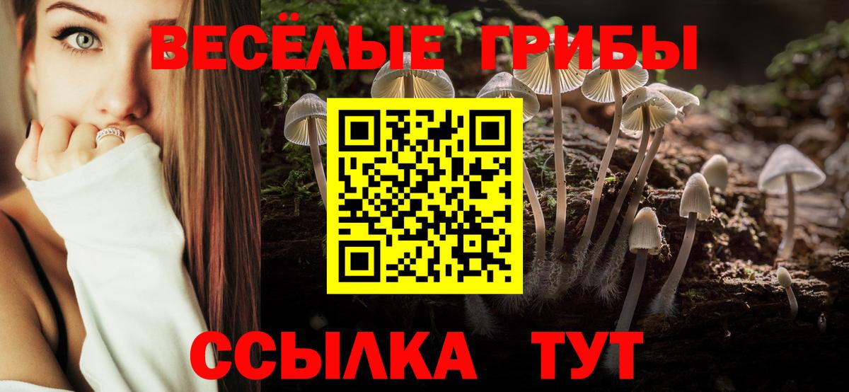 Галлюциногенные грибы прущие грибы Дзержинский